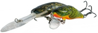 0001_Salmo_Bullhead_4_5_cm.jpg 0001_Salmo_Bullhead_4_5_cm.jpg
