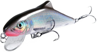 0001_Salmo_Skinner_10_cm.jpg 0001_Salmo_Skinner_10_cm.jpg