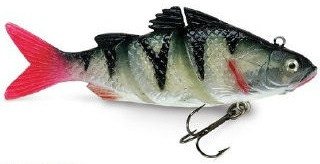 0001_Storm_Live_Kickin__Perch_7_cm.jpg 0001_Storm_Live_Kickin__Perch_7_cm.jpg
